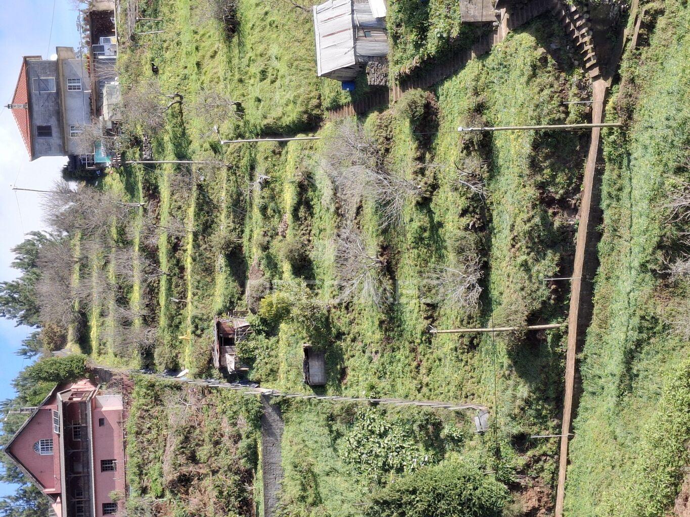 Terreno para rustico / área total 1.700m2