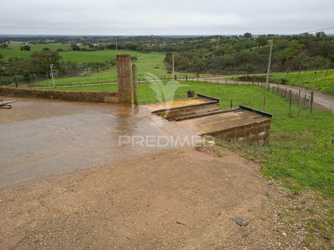 Herdade com 99,45 ha – odemira, litoral alentejano