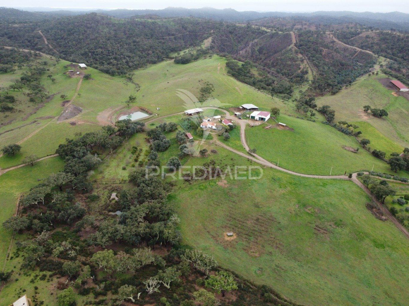 Herdade com 99,45 ha – odemira, litoral alentejano