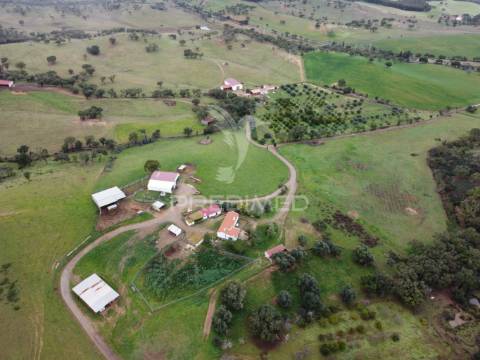 Herdade com 99,45 ha – odemira, litoral alentejano