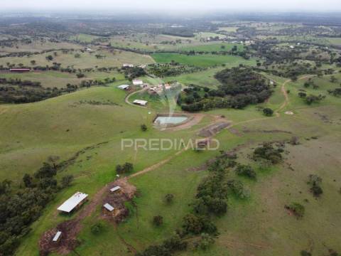 Herdade com 99,45 ha – odemira, litoral alentejano