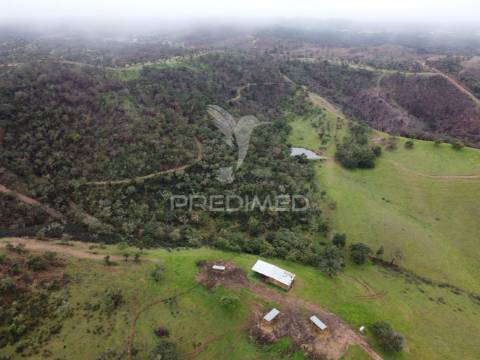 Herdade com 99,45 ha – odemira, litoral alentejano
