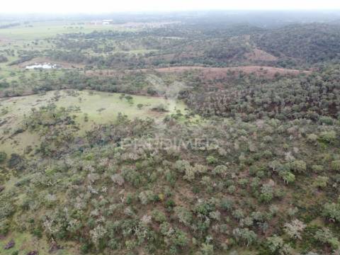 Herdade com 99,45 ha – odemira, litoral alentejano