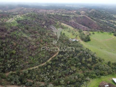 Herdade com 99,45 ha – odemira, litoral alentejano