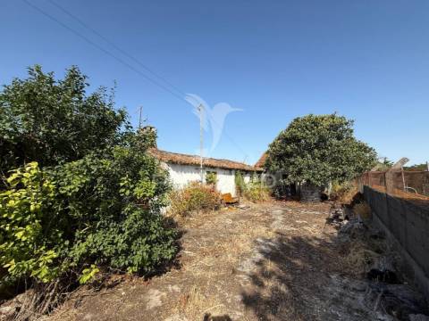 Moradia t3 para restaurar com terreno | são vicente do paúl | santarém