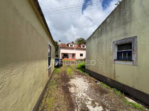 Oportunidade única em são carlos - moradia t3