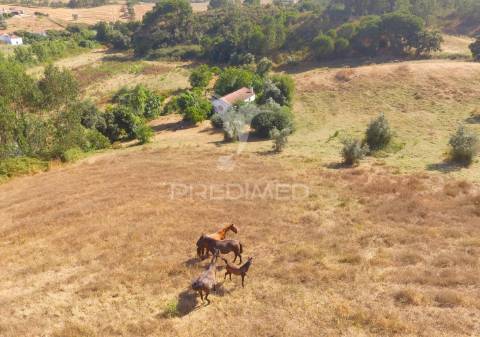 Monte típico alentejano no cercal do alentejo