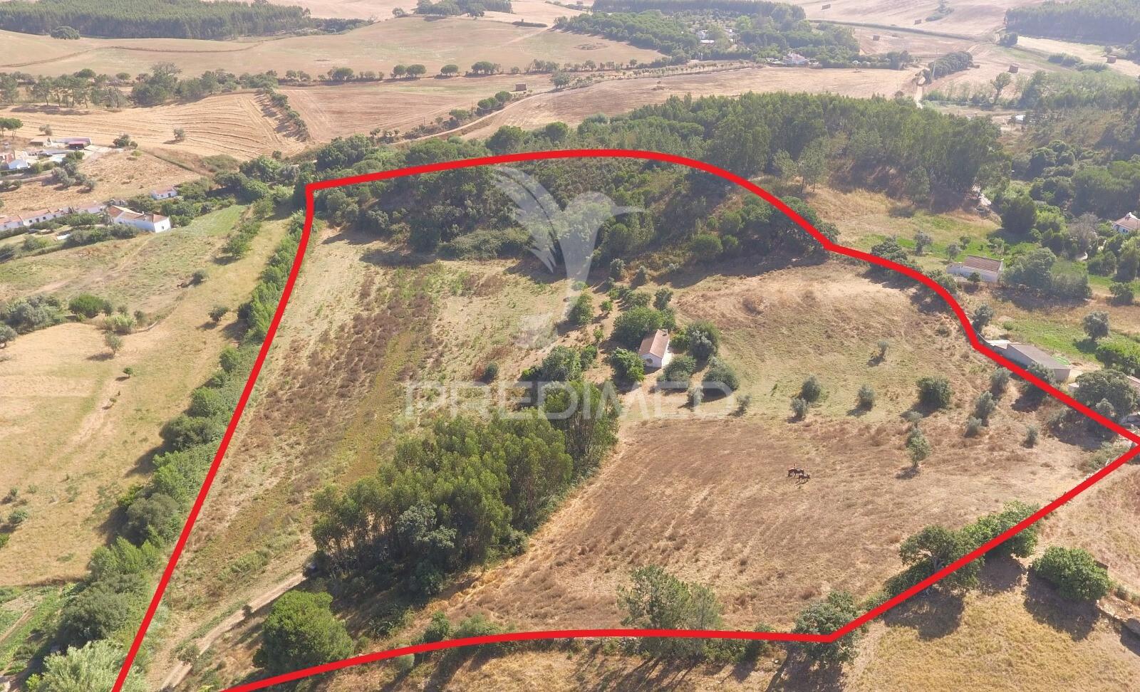 Monte típico alentejano no cercal do alentejo
