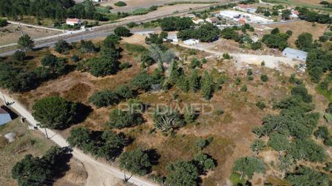 Herdade com 4.9 hc,com moradia,pinhal novo.