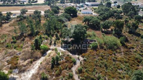 Herdade com 4.9 hc,com moradia,pinhal novo.