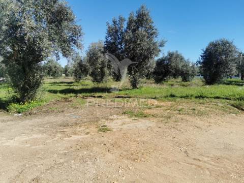 Lote de moradia