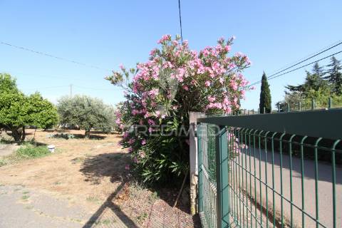 Quinta a 30 minutos costa alentejana