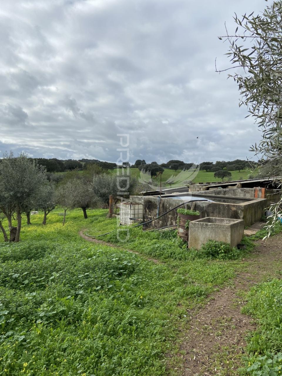 Moradia t1 com terreno de 3300mts2