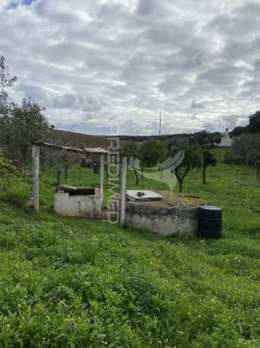 Moradia t1 com terreno de 3300mts2
