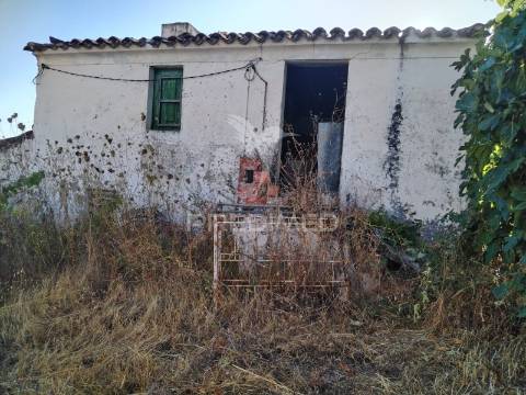 Quinta