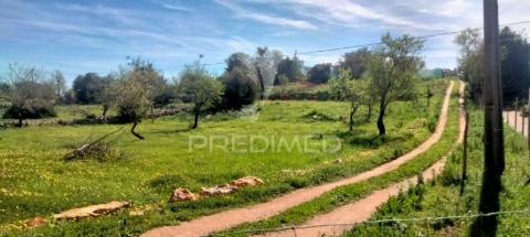 Terreno rustico com  casa habitável