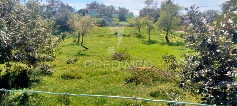 Terreno rustico com  casa habitável
