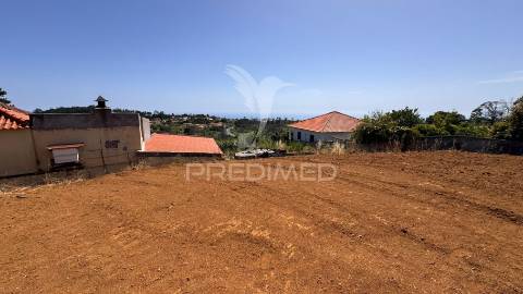 Moradia em ruína nos prazeres - calheta - ilha da madeira