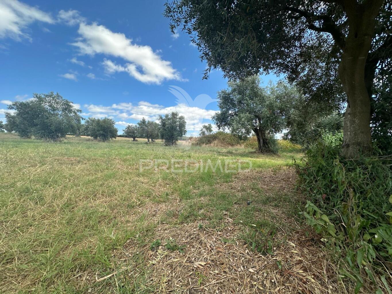 Lote rústico