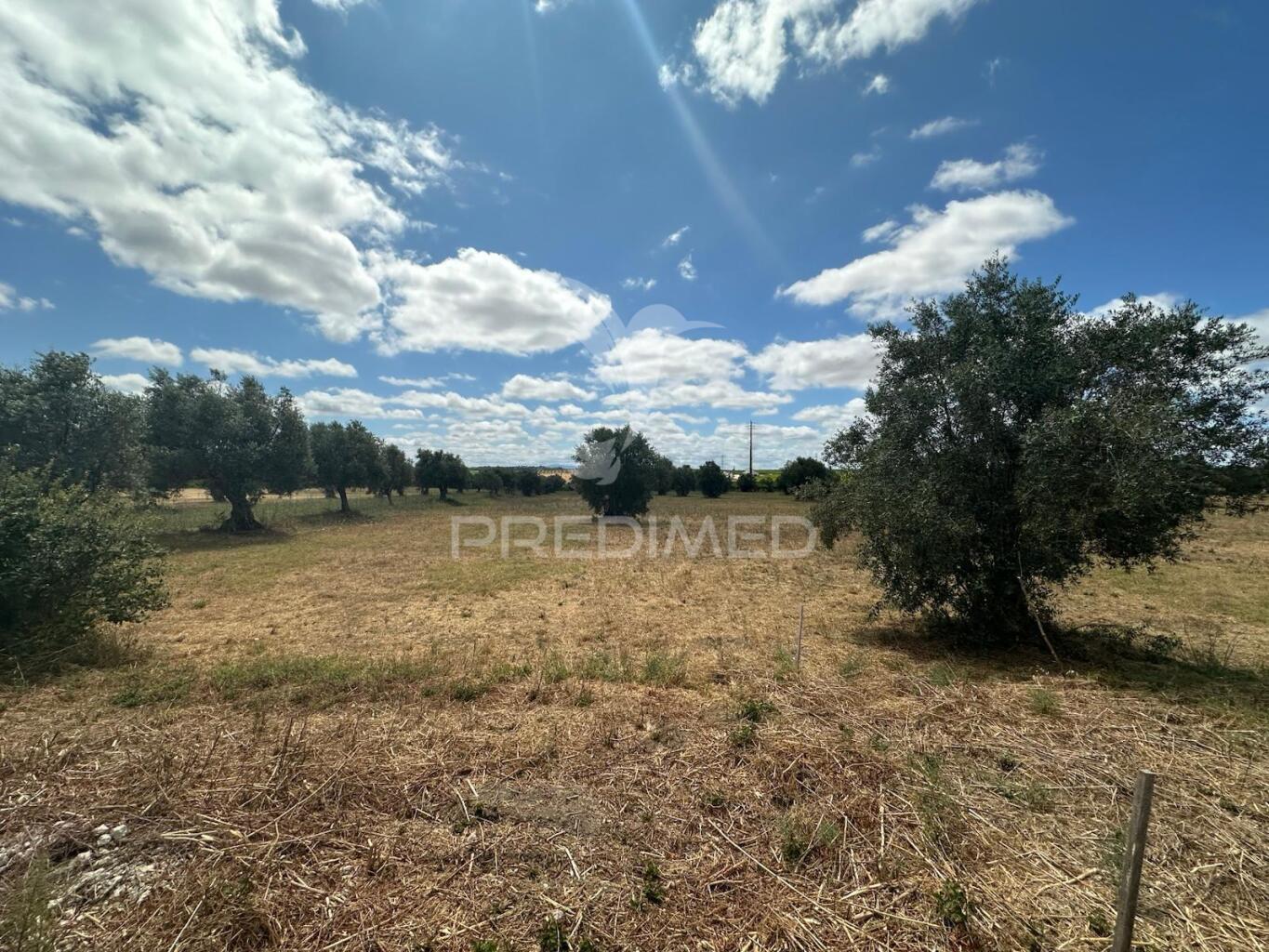 Lote rústico