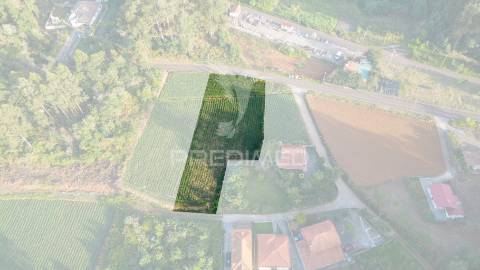 Terreno  com 1510m2 em são jorge - ilha da madeira