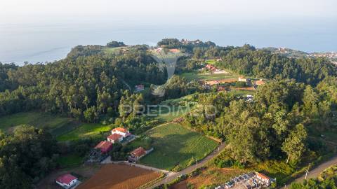 Terreno  com 1510m2 em são jorge - ilha da madeira