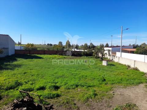 Moradia t3 com terreno - pias