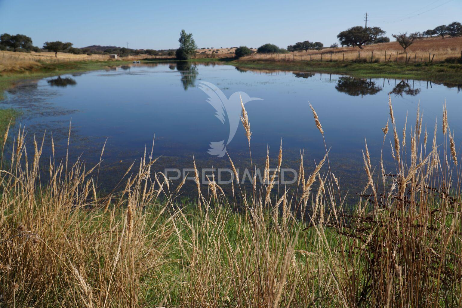 Herdade no alentejo