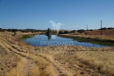 Herdade no alentejo