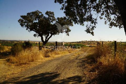 Herdade no alentejo