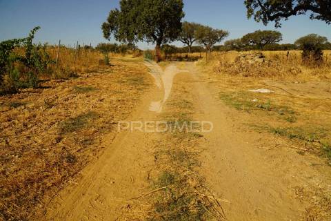 Herdade no alentejo