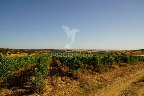 Herdade no alentejo