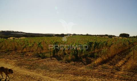 Herdade no alentejo