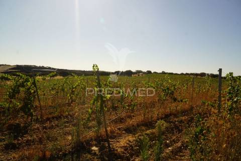 Herdade no alentejo