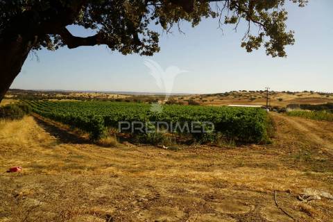 Herdade no alentejo
