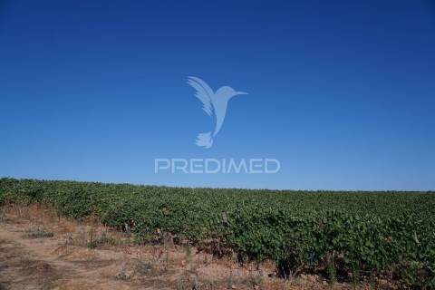 Herdade no alentejo