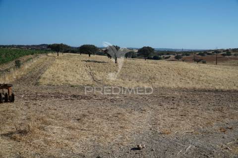 Herdade no alentejo