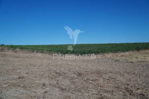 Herdade no alentejo