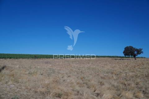 Herdade no alentejo