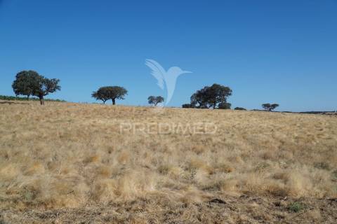Herdade no alentejo