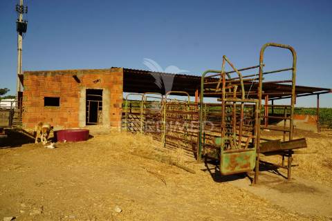 Herdade no alentejo