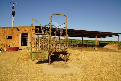 Herdade no alentejo