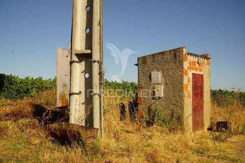 Herdade no alentejo