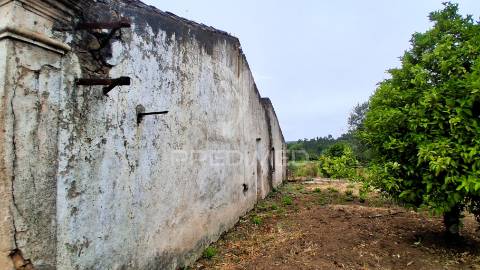 Conjunto de moradias em ruína e terrenos em penhascoso