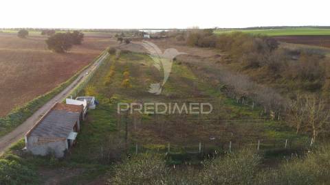 Terreno agrícola - são brissos , beja