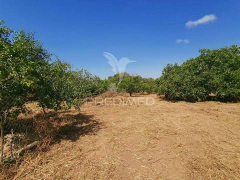 Casa / villa t4 em loulé (são sebastião) de 180 288m²
