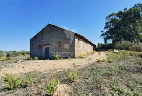 Pavilhão agrícola  espinheiro- alcanena