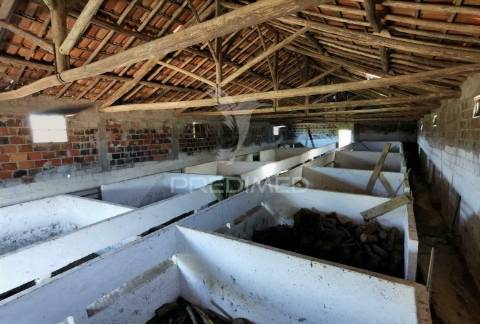 Pavilhão agrícola  espinheiro- alcanena