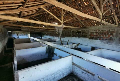 Pavilhão agrícola  espinheiro- alcanena