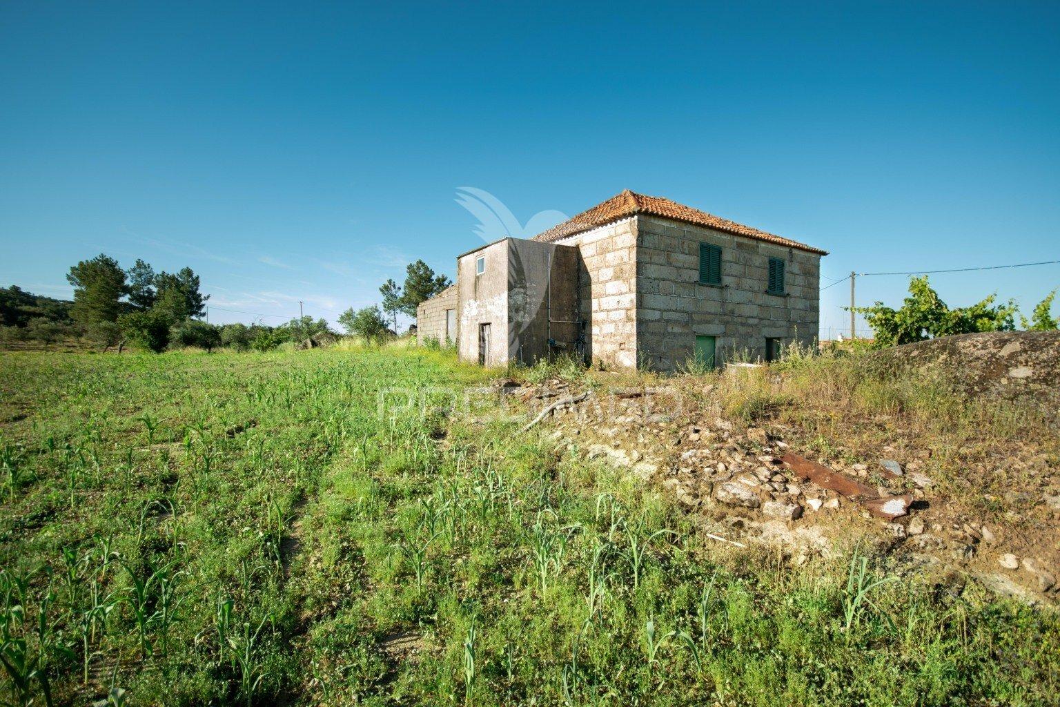 Quinta no concelho de trancoso com + de 1.5 hectares